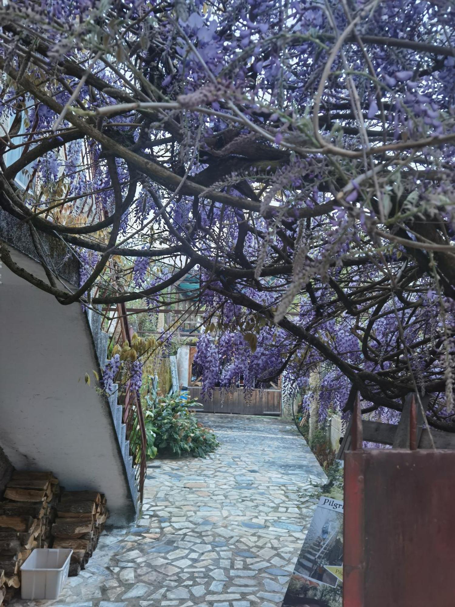 Pilgrims Rest - Vila Nova De Cerveira - Hostel - Albergue - Al Экстерьер фото
