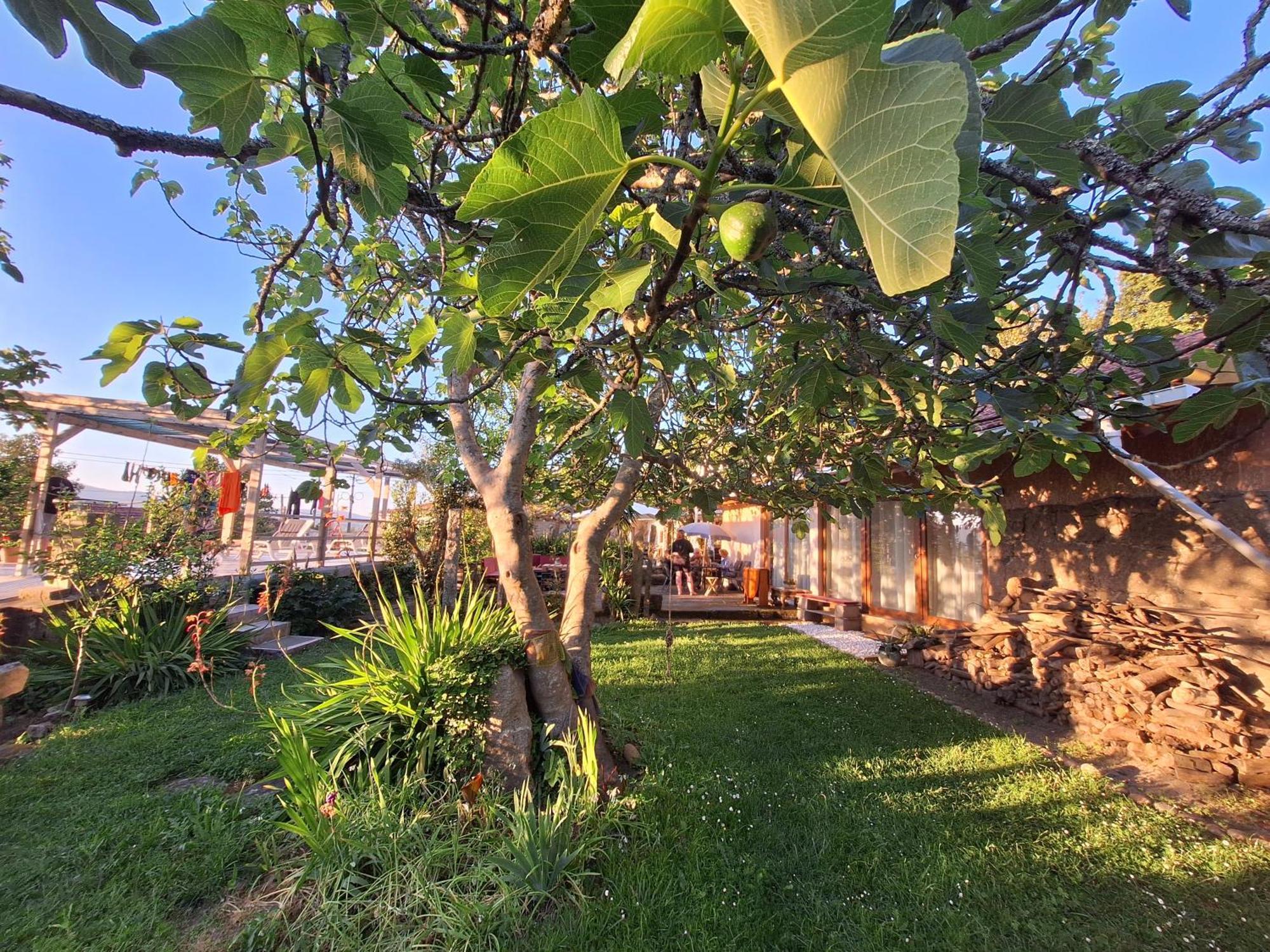 Pilgrims Rest - Vila Nova De Cerveira - Hostel - Albergue - Al Экстерьер фото